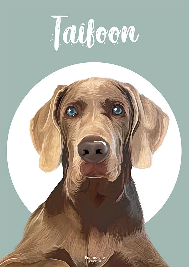 ILUSTRACIÓN DE MASCOTAS DIGITAL