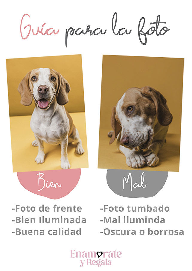 ILUSTRACIÓN DE MASCOTAS DIGITAL